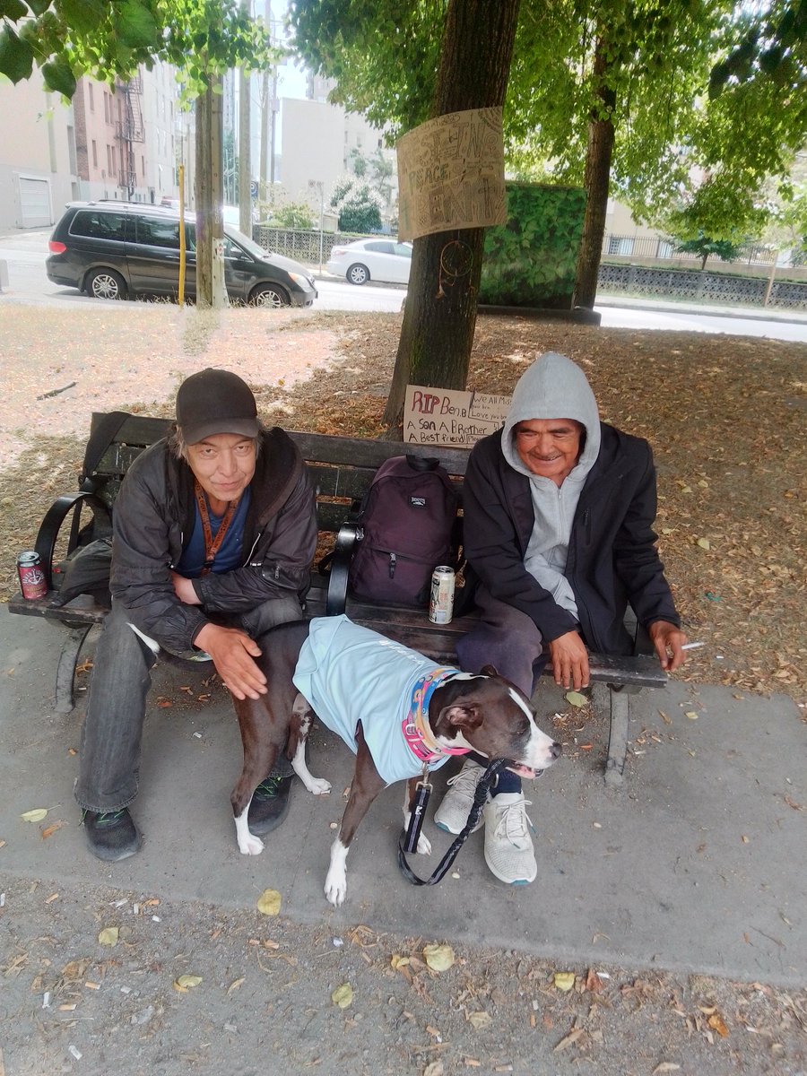 LebrockTony's tweet image. Mon🌅🐕🏞️⌛🐾💙🥰💙🐾
🐾💙💙 Tribe 🪶 Clan 💙💙🐾
#allmyrelations #NativeTwitter 
#nativefriends #dogfriends
#dogsday #dogslife #pittielife
#morningvibes #lovingpittbull
#parkvibes #pittieslove #pets
#MadamRiley