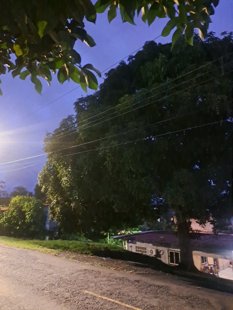 ALBERTO BARRERA tweet media