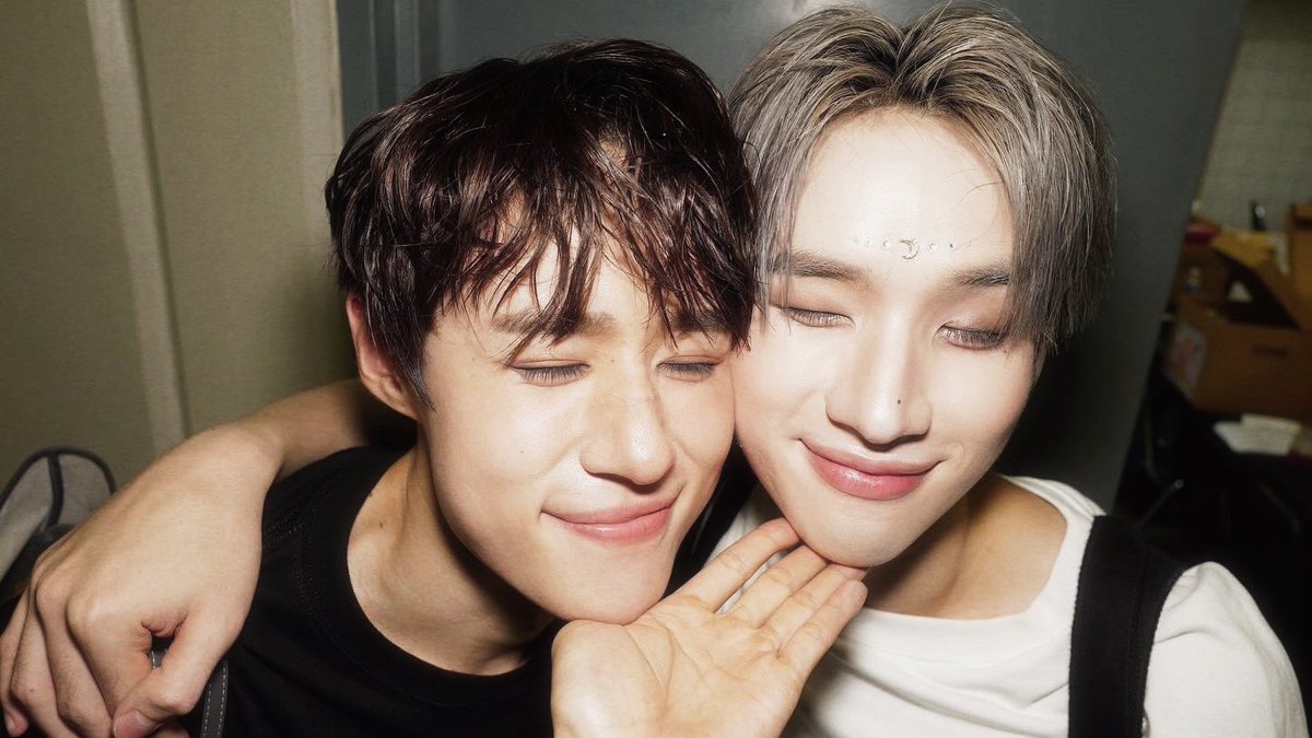 แมว + แมว