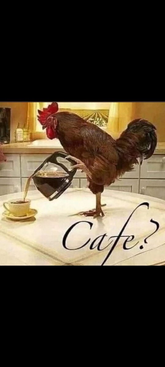 quackipan's tweet photo. Café https://t.co/vk40EHzml7