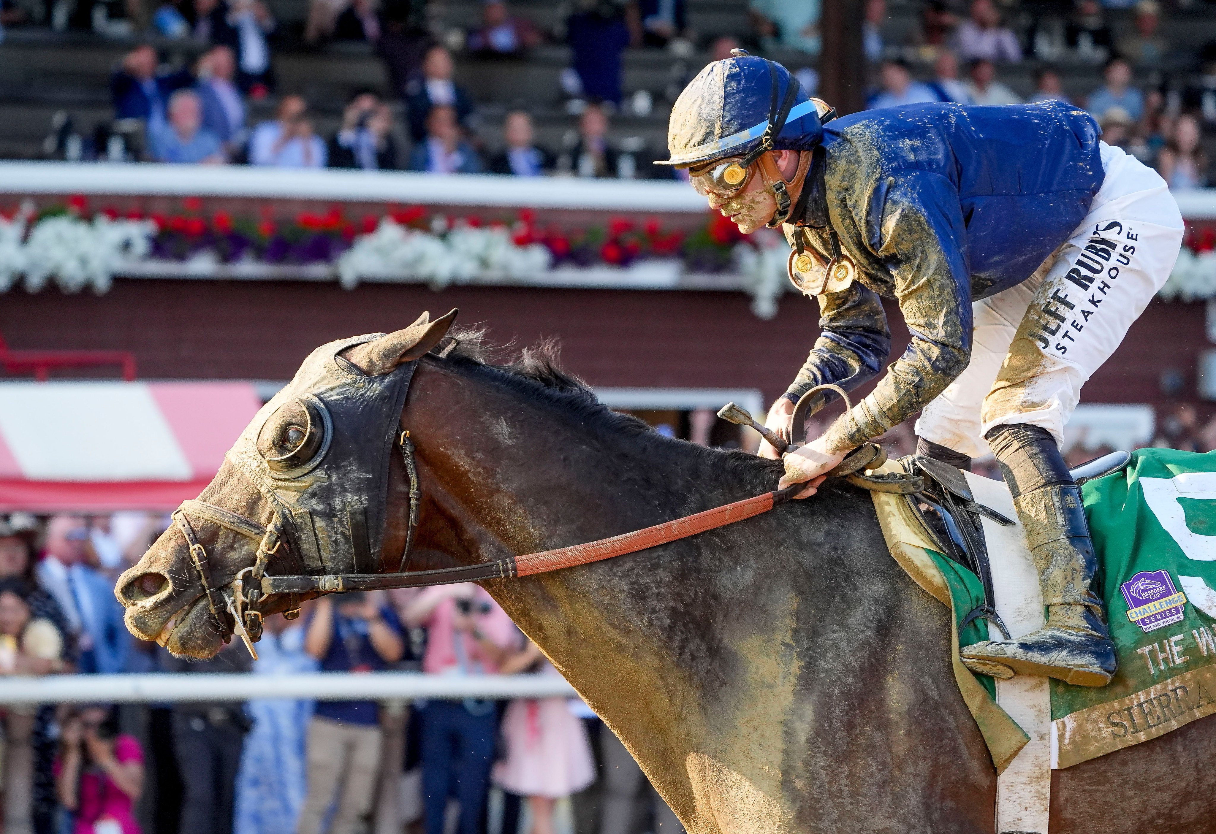 Eclipse Sportswire on X: 