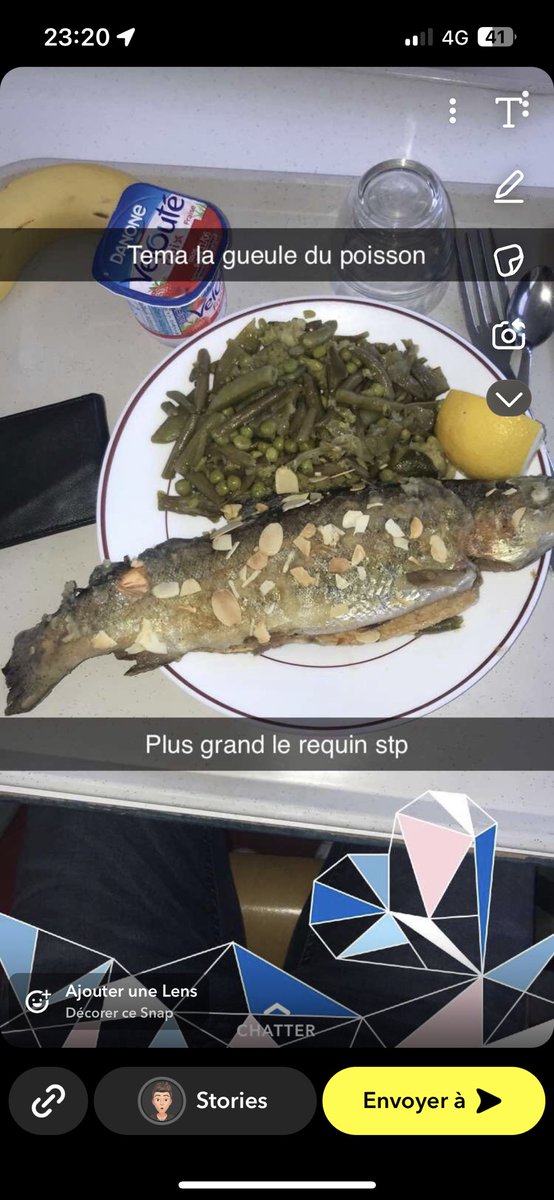 SachaRT4's tweet photo. Le poisson de salopard https://t.co/AZ4ZM6w9p8