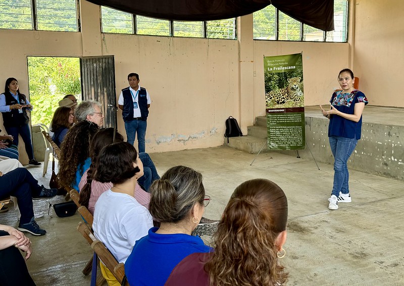 FAOMexico's tweet photo. 📍Estamos en Chiapas como parte del Diálogo Local Multiactor para construir el nuevo Marco de Cooperación de la @ONUMX con el @GobiernoMX 2026–2031.

Desde el territorio, llevamos a la mesa experiencias concretas que unen conservación, inclusión y medios de vida sostenibles. https://t.co/UodGSpE9CR