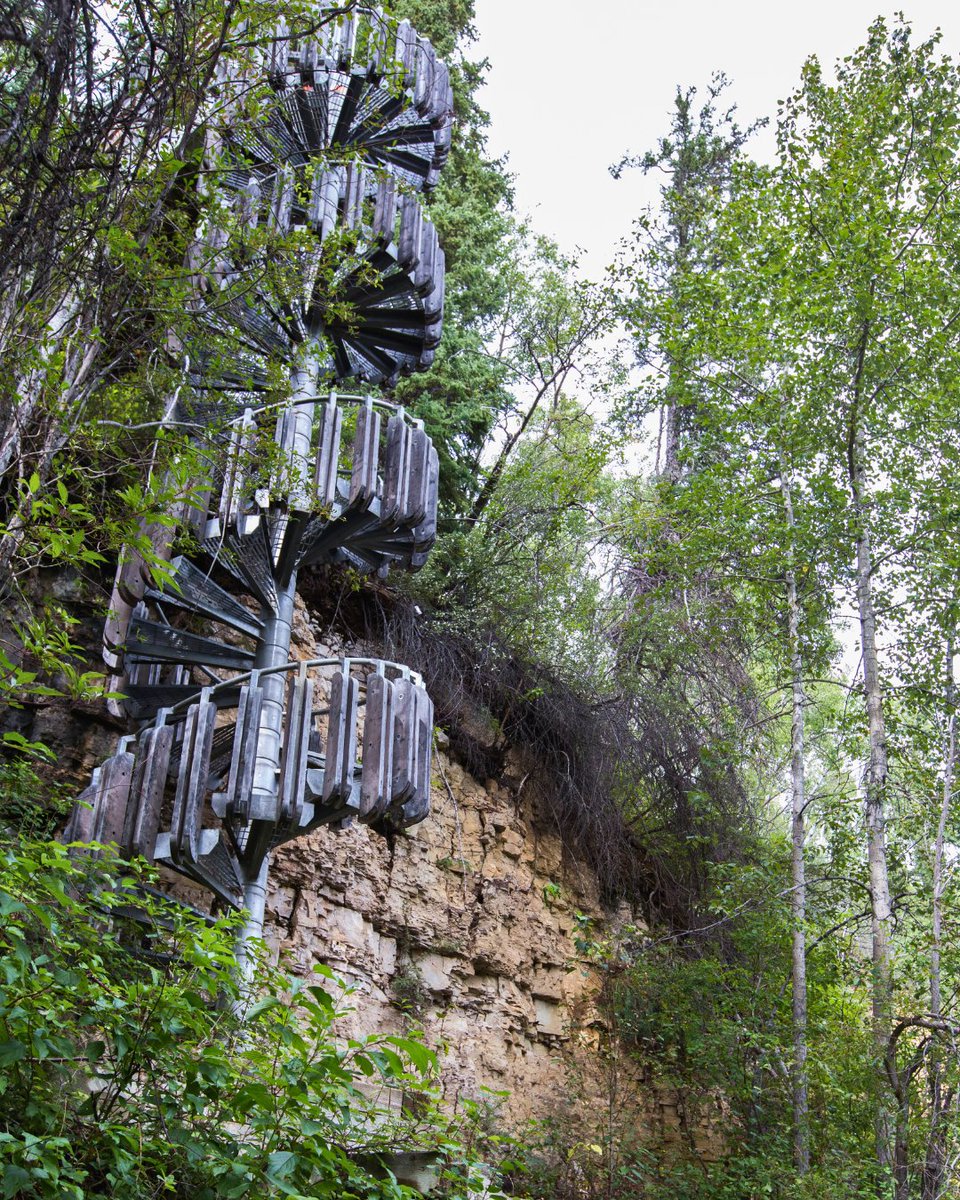 🌀 Can you guess where this unique spiral staircase leads? 🤔
Hint: It’s a breathtaking spot with a view you won’t forget, in Hay River, NWT!

Drop your guesses in the comments below 👇 and we’ll reveal the answer in our next post! 👀✨

📸 Colin Field
📍Hay River, NWT