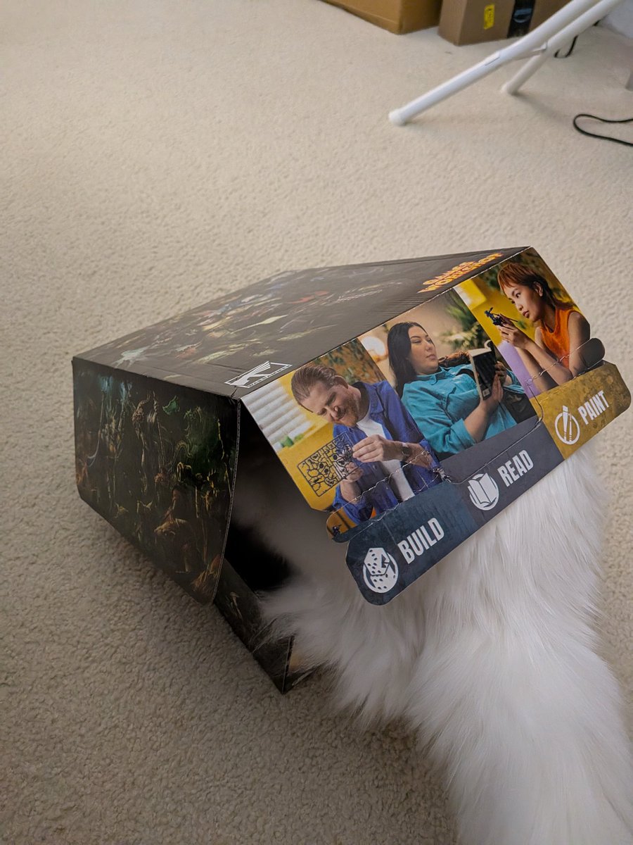 Xepher Arcade tweet media