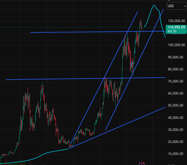 AlphaAngel🧪 tweet media