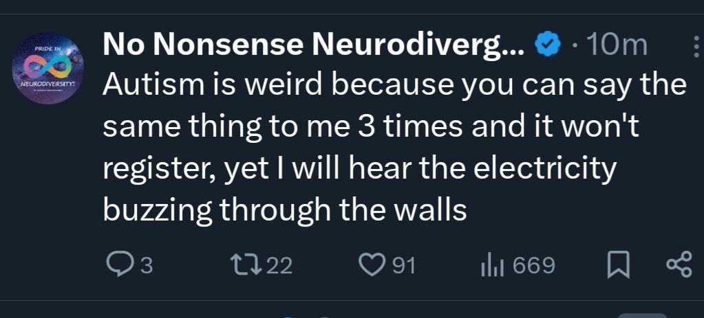 No Nonsense Neurodivergent (@nononsensend) on Twitter photo 