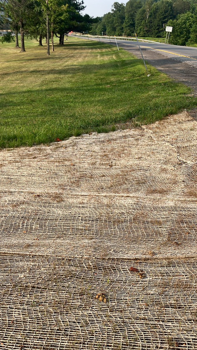 Noosoor iim nogoonii tor hiij bolhiin