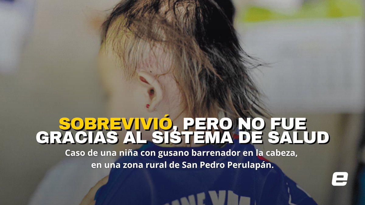 #Noticias | Una niña llegó al quirófano con un gusano barrenador creciendo en su cabeza. Su familia buscó atención médica por semanas sin respuestas claras. Este es el caso real de una emergencia. 

Se abre hilo 🧵