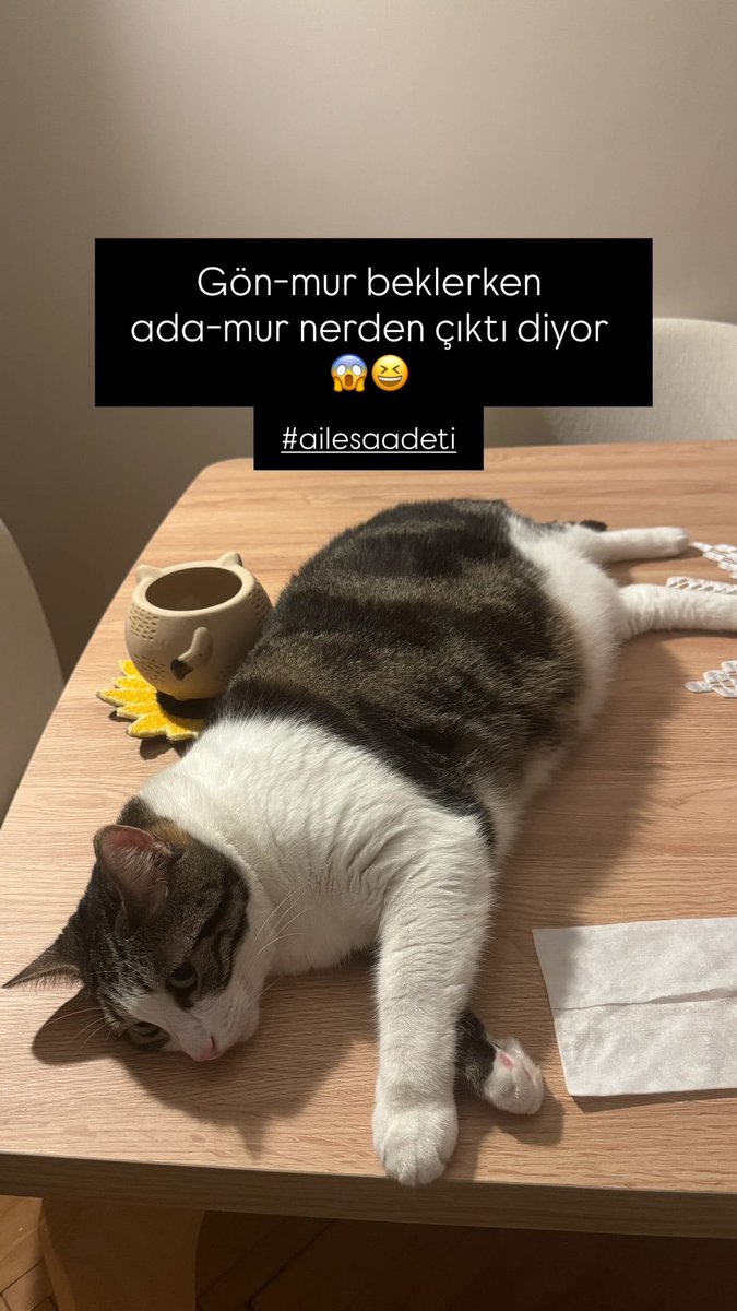 krygenc's tweet photo. Pamuk şoklarda… #gönmur beklerken #adamur nerden çıktı diyor 😱😆 #ailesaadeti https://t.co/2hCDyhC9J8