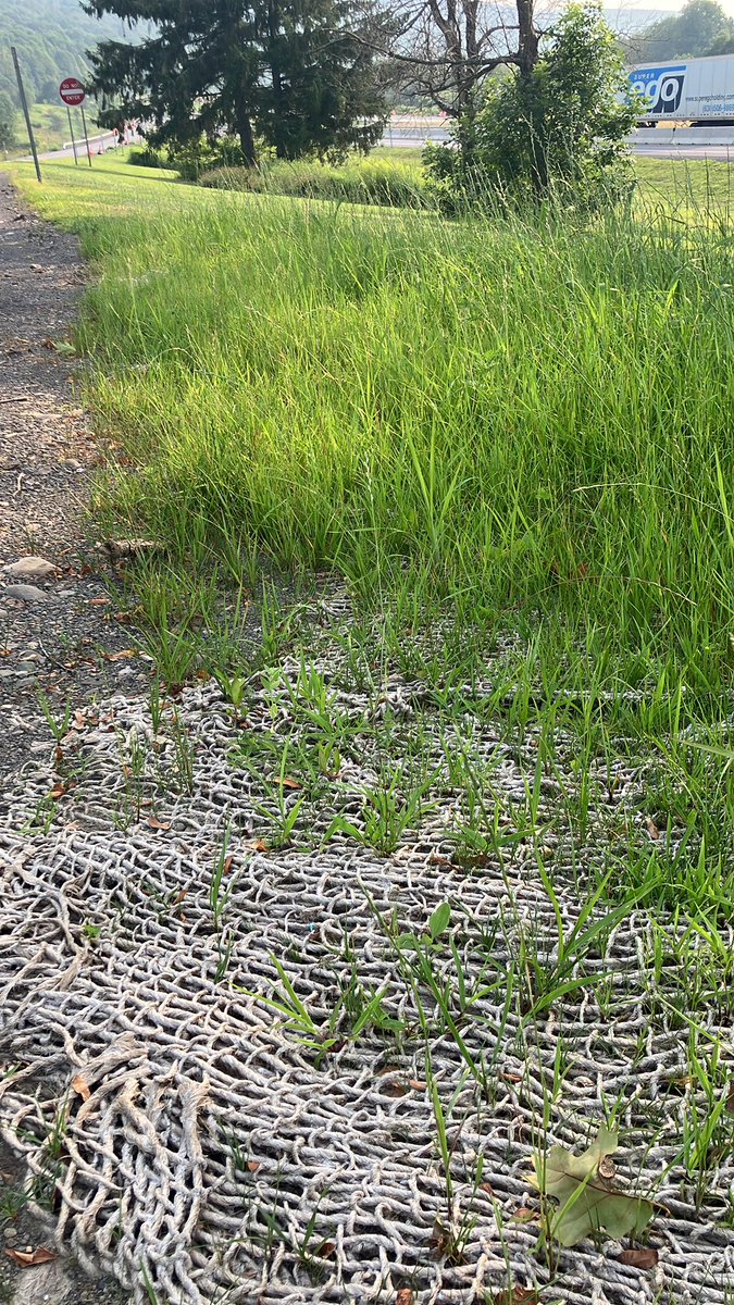 Bayar Kh (@dugnelt) on Twitter photo 