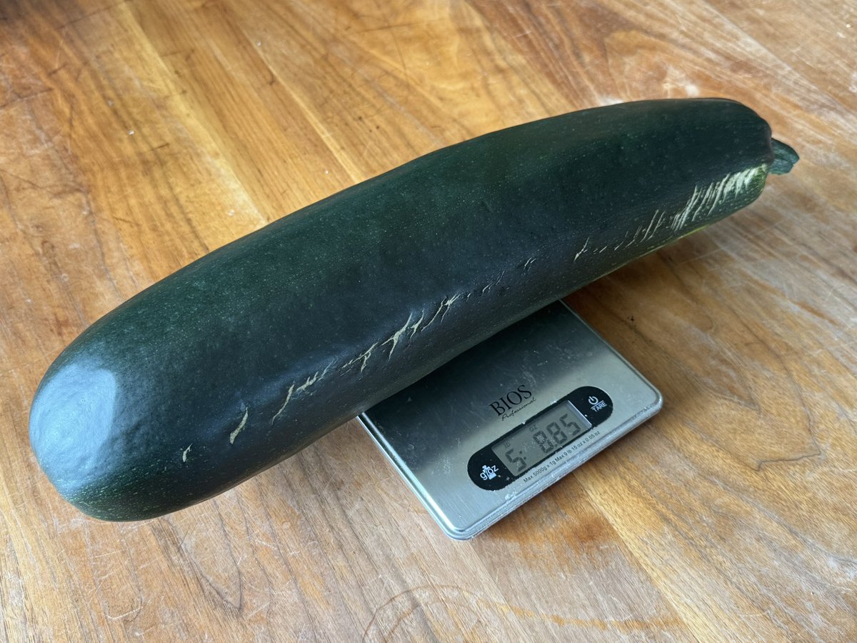 From wolfmom’s garden. Heck.