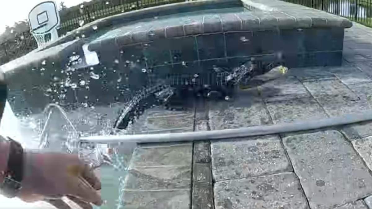 Wild Video Shows Cop Use Bare Hands To Wrangle Alligator | 94.9 The Bull 949thebull.iheart.com/content/2025-0…