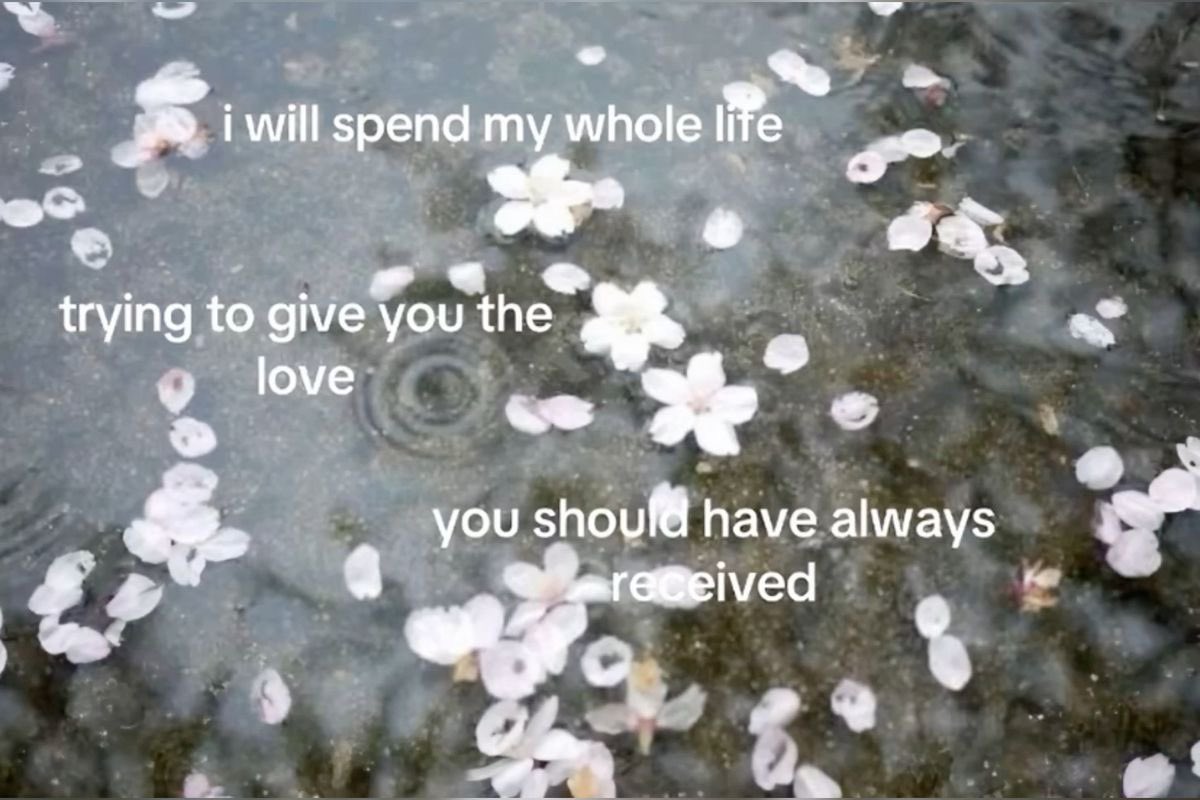 xinniez's tweet image. :¨ ·.· ¨: 
 `· . ౨ৎ   unpinning   when   i   lose   10kg