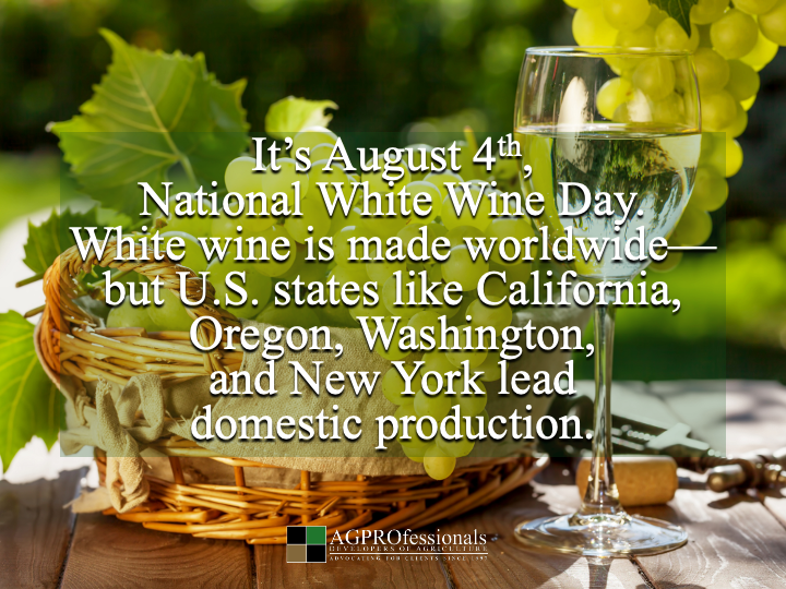 AGPRealEstate's tweet image. 🍷 It’s #WhiteWineDay!
Fun ag facts:
🍇 Grapes = a real crop
🐝 Vineyards thrive with pollinators
🌿 Terroir (soil, sun, climate) defines flavor
🚜 Behind every bottle is a grower
#FarmToGlass #AgFacts #WineLovers
