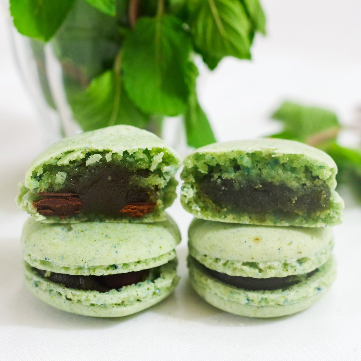 〈夏季限定〉
京まかろんﾐﾝﾄ🩵🎁企画
開催させて頂きます🎆

ﾐﾝﾄ🩵は1箱で2種楽しめます😆👇
1️⃣ﾁｮｺﾐﾝﾄ🍫
有機ｶｶｵﾏｽのﾁｮｺﾁｯﾌﾟ使用
2️⃣玉露ﾐﾝﾄ🟢
京田辺の玉露茶葉使用

当選枠：5名様
応　募：ﾌｫﾛｰ＆当投稿ﾘﾎﾟｽﾄ
締　切：8/10㈰22時

#チョコミント
#チョコミン党