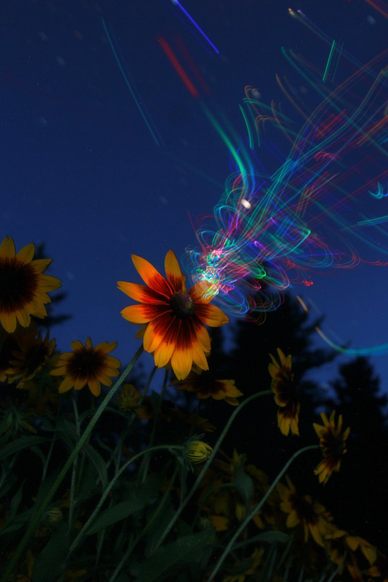 jonbyrer tweet media