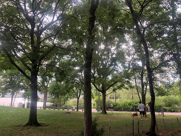 homebalancer's tweet photo. Summer Day. Hudson River Park, Chelsea, NYC.
#photography #NaturePhotography #art #sunshine #photographers #Cityliving #iloveny #timeoutnewyork
@ThePhotoHour @photographmag @OutdoorPhotoMag
#Cityliving #thisisnewyorkcity @HudsonRiverPark https://t.co/HgWlxe9msc