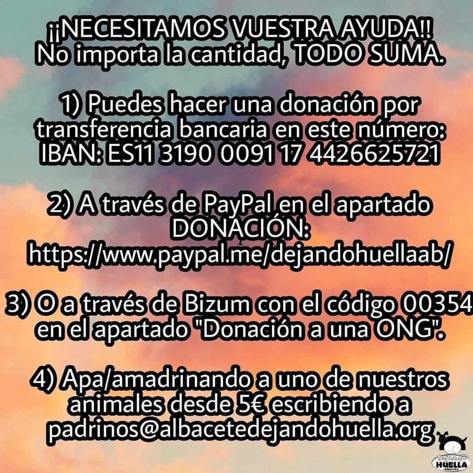 Estamos en una situación crítica tanto de casas de acogida como económica.
Casos como Claire, Lilo, nuestros huellitas de colonias y el resto, nos han dejado tiritando, y debemos mucho dinero.

¿Nos puedes echar una mano?

Muchísimas gracias❤️