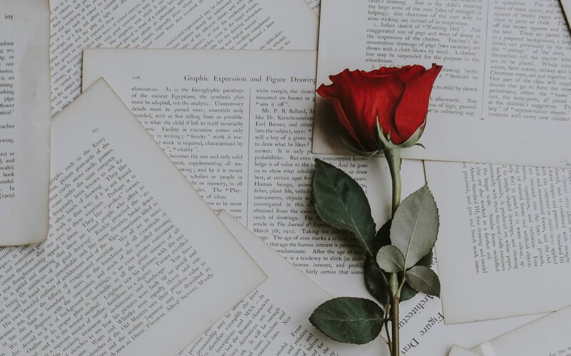 HadiDeeb's tweet photo. "A poem does invite, it does require."
-- Muriel Rukeyser
#MurielRukeyser #Rukeyser #poetry #poems #books #literature #invitation #requirement #love #life #death https://t.co/WAT8MpF7GE