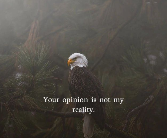 mindfulmaven_'s tweet photo. https://t.co/S5bHZibIhq