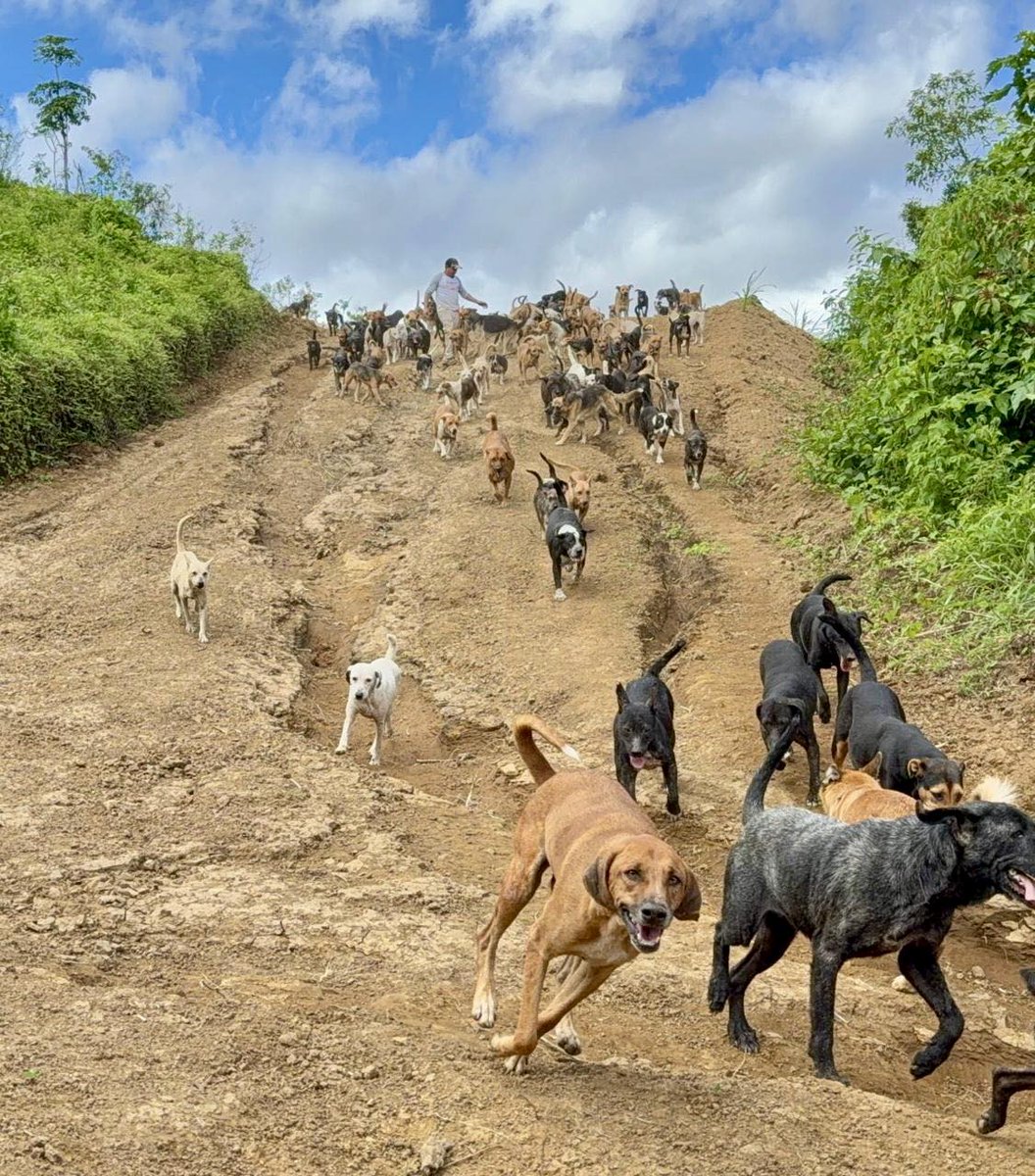 Happy Monday! Have a wonderful start to your week!