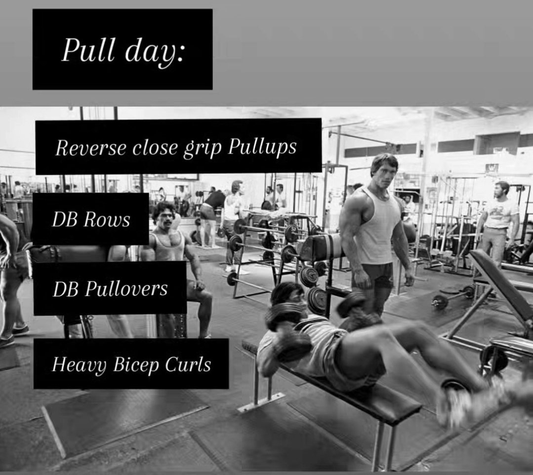 Metabolic Machismo tweet media