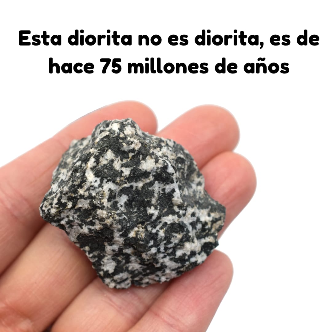 Biozonito tweet media