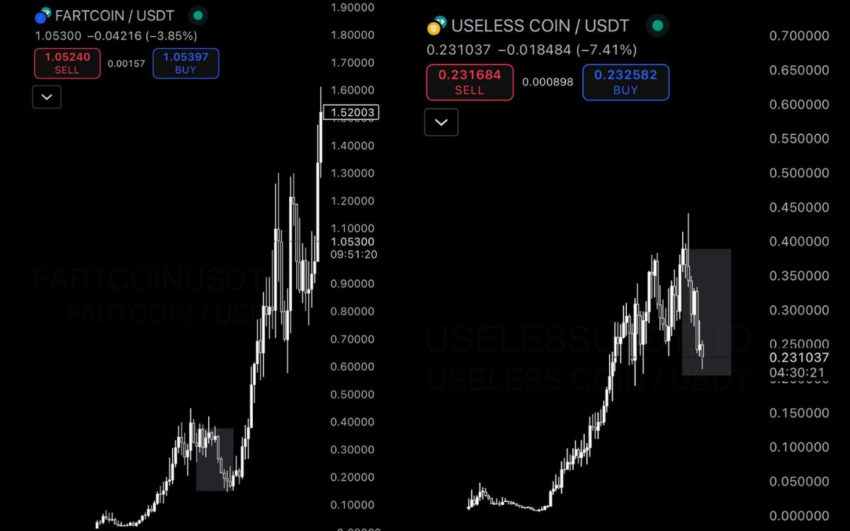 Klim Brain tweet media