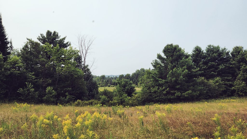 Aurélie Bonal (@aureliebonal) on Twitter photo A quelques minutes de la maison, le bonheur simple et la sérénité du parc de la Gatineau. ❤️ <a href="/NCC_GatPark/">Gatineau Park</a>
#bankholiday #MondayMotivation A quelques minutes de la maison, le bonheur simple et la sérénité du parc de la Gatineau. ❤️ <a href="/NCC_GatPark/">Gatineau Park</a>
#bankholiday #MondayMotivation