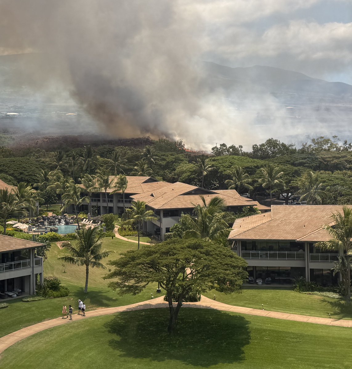 Cullen Roche tweet media