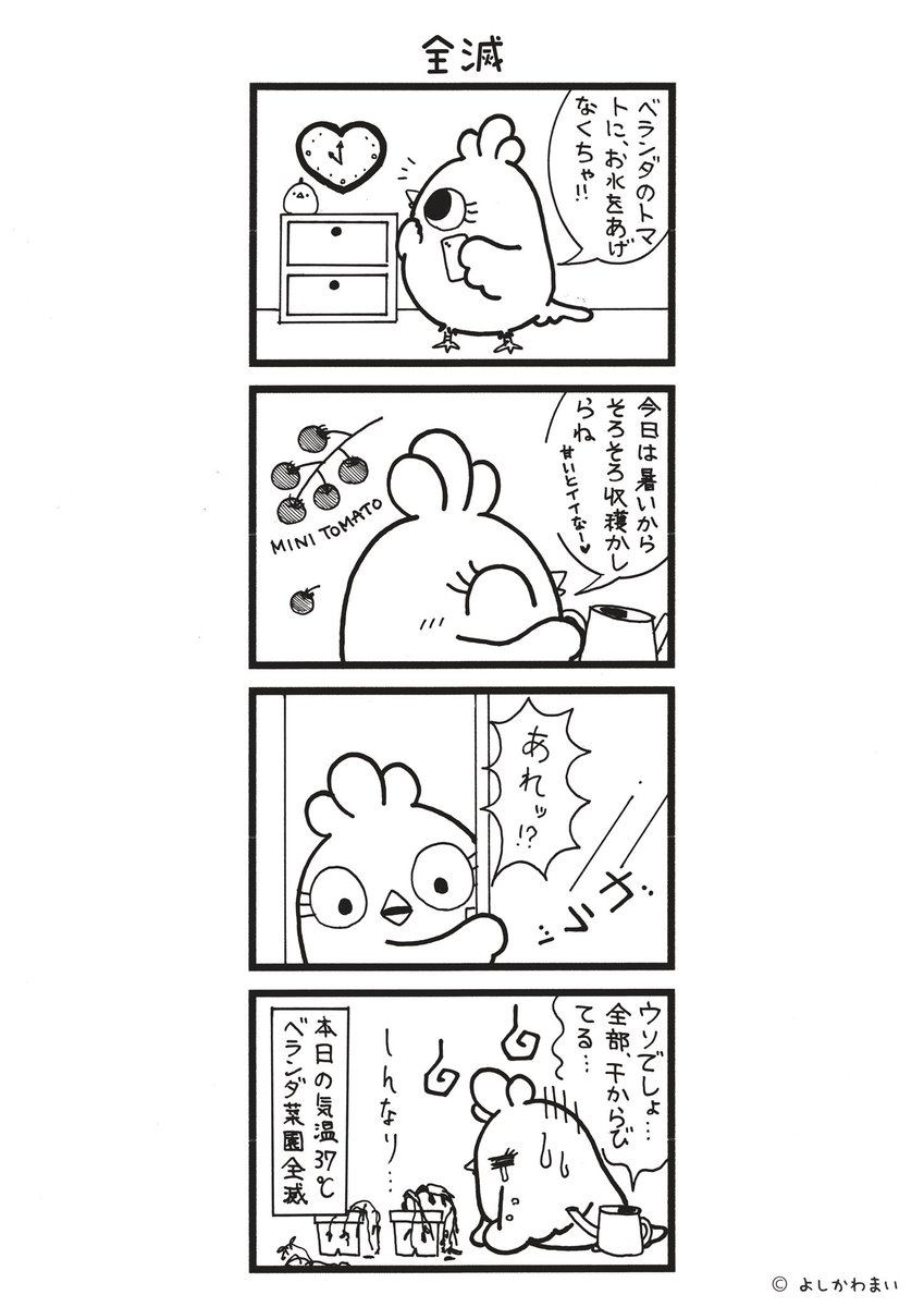 ブライトスターの本 (@brightbooks0822) / X