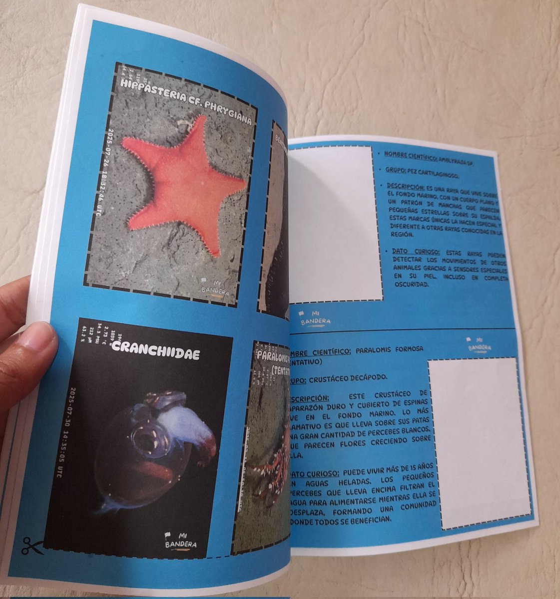 Me fascinó tanto la expedición del conicet que armé un álbum de figuritas para mis alumnitos y lo comparto en mi página para docentes 🥹🫶🏽