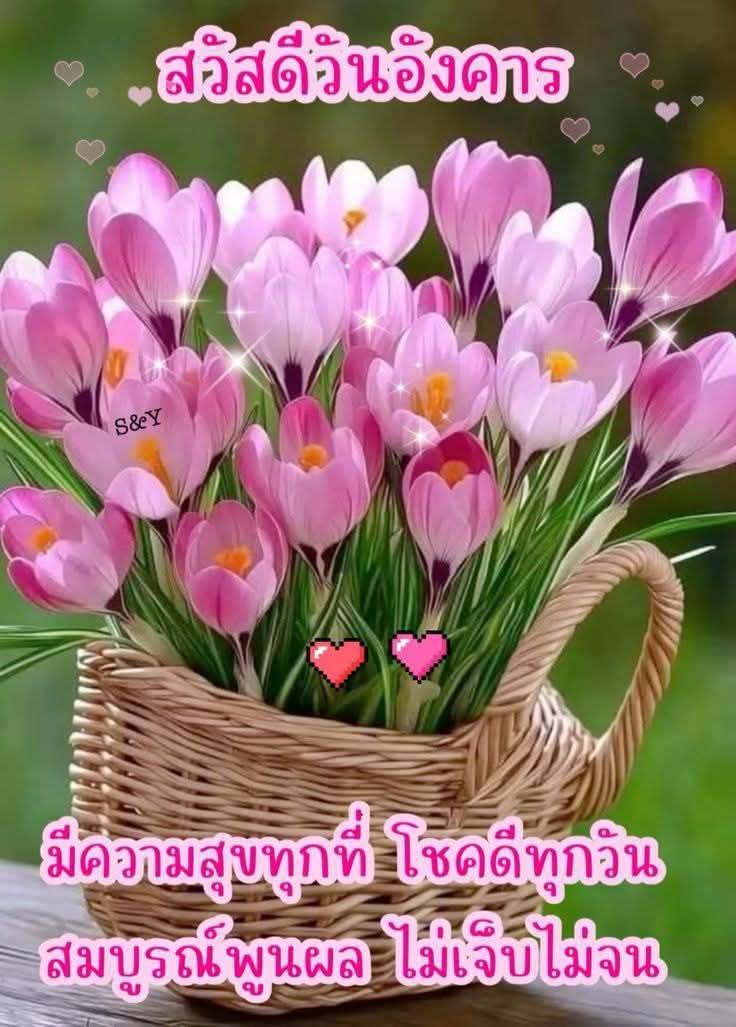 อรุณสวัสดิ์เช้าวันอังคารค่ะ