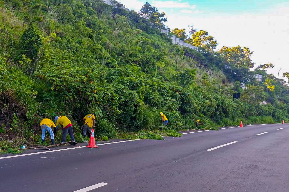 ⏩ Se sigue trabajando sobre la CA-1 oriente, a la altura del km 33.7. El personal limpia y chapea a los costados y en el arriate central, disminuyendo el tamaño de la maleza en esta importante ruta en #CarreteraAElSalvador. 🧹👷🏽‍♂️

#ElPuebloDignoEsPrimero