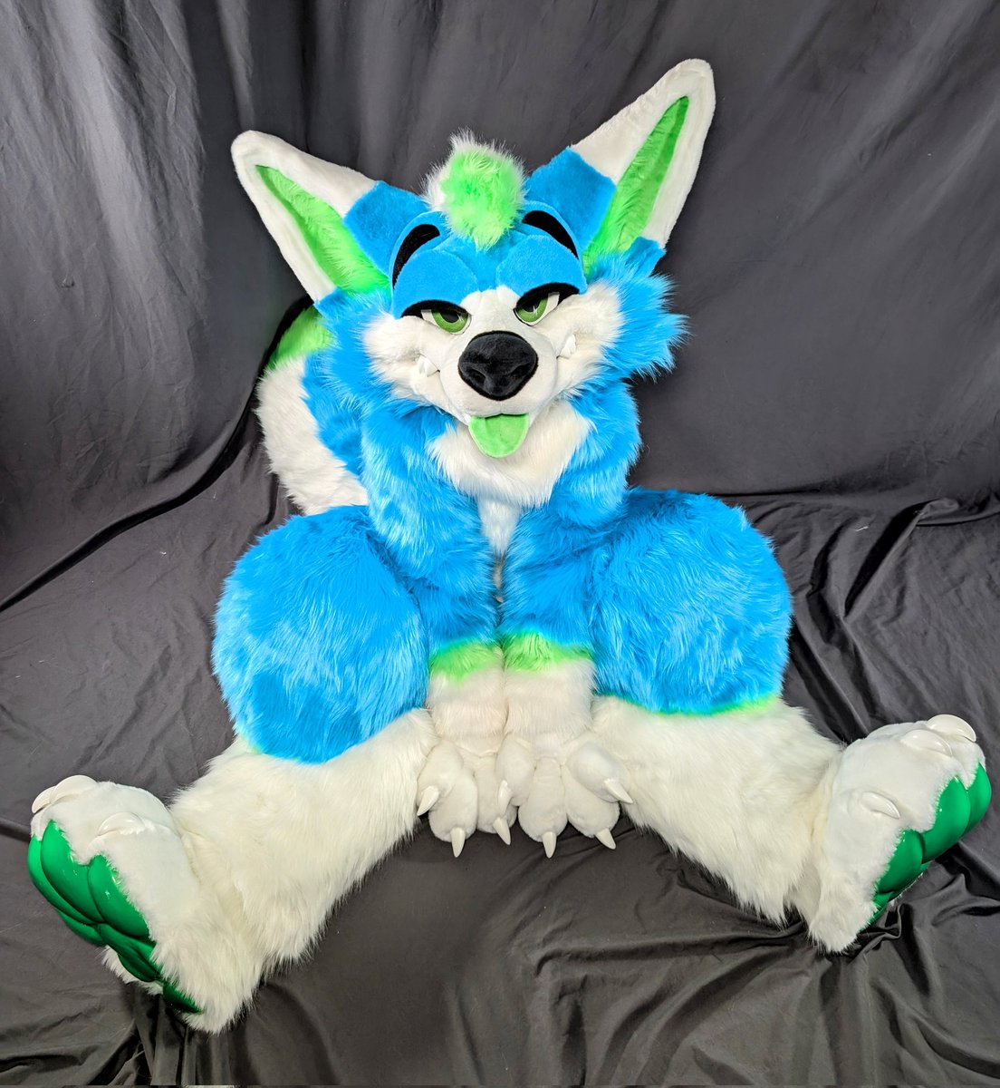 The face I make when I know I'm the bestest boy 🐶 

🥴 <a href="/Riotshepp/">Riot</a>