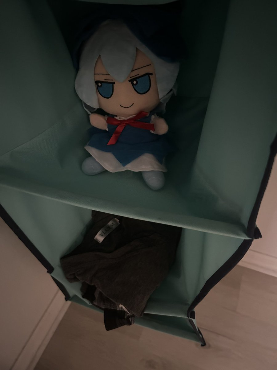 Cirno be hiding