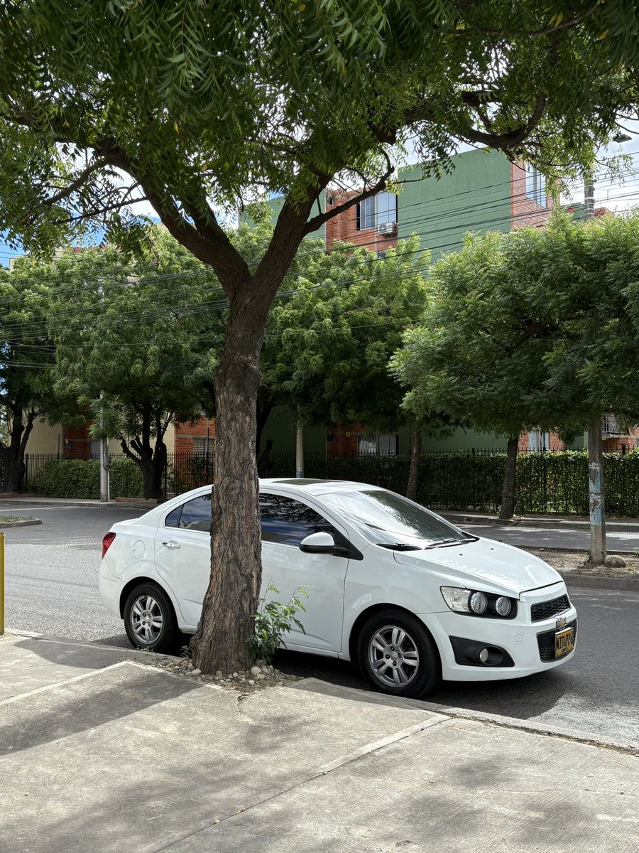 freddyleal123's tweet image. 🤩