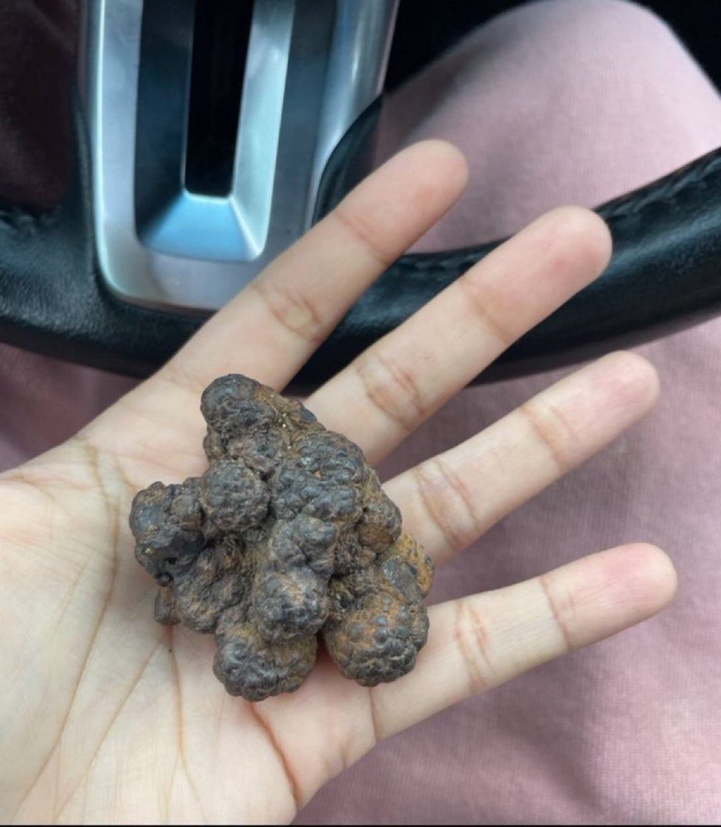 Stoner Barbie tweet media