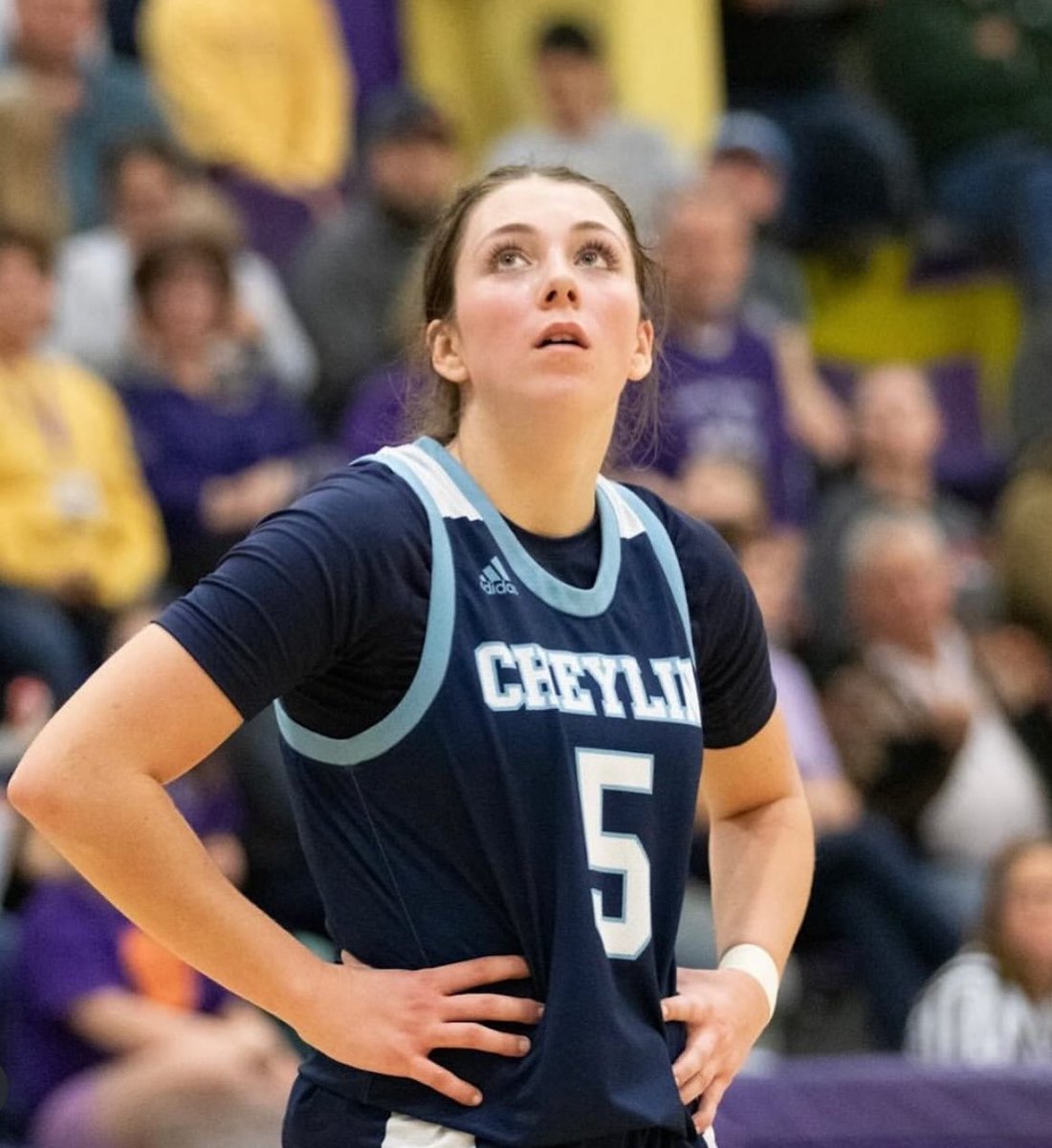 Sunflower Smack Show tweet media