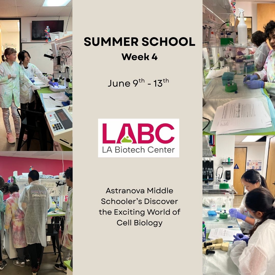 LABiotechCenter's tweet photo. WEEK 4! Astranova middle schoolers explored the amazing world of cell biology at LABC! 
https://t.co/w20IbpJHor
Email: Info@labiotechcenter.com
#biologystudent #stemcells #biology #cellbiology https://t.co/d9kNnDvRZc