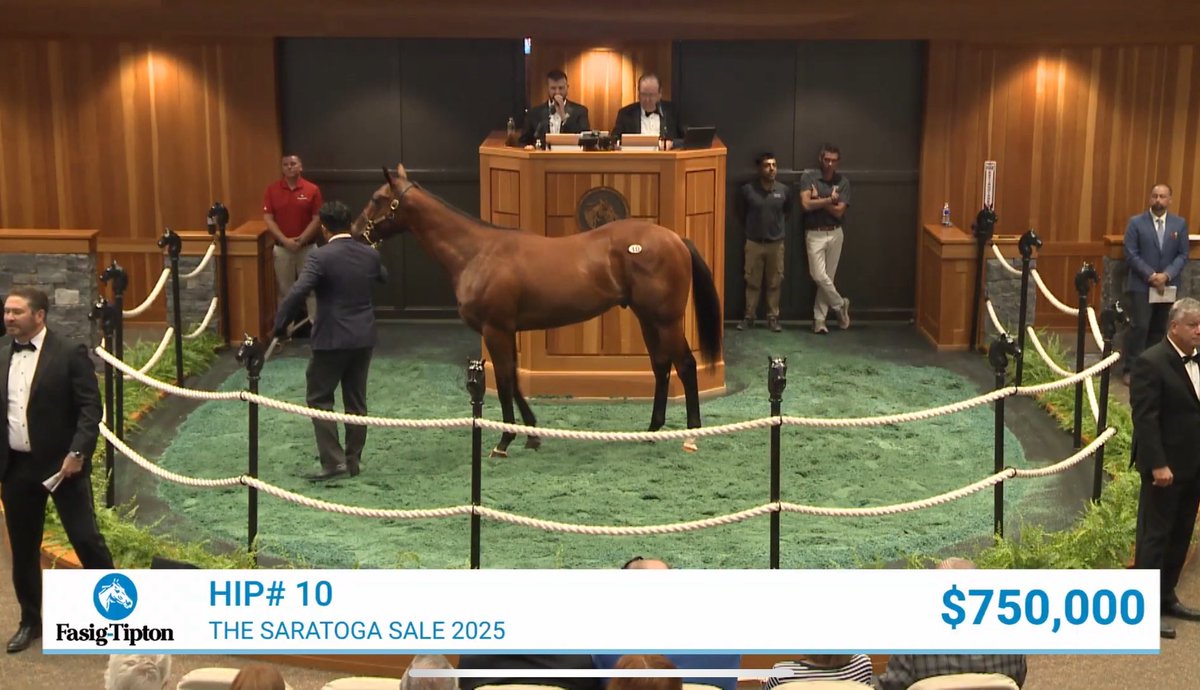 Preakness Stakes, Met Mile ve Pegasus World Cup galibi olan National Treasure’ın tam kardeşi olan Dynasty isimli erkek tay $750,000’a satıldı.