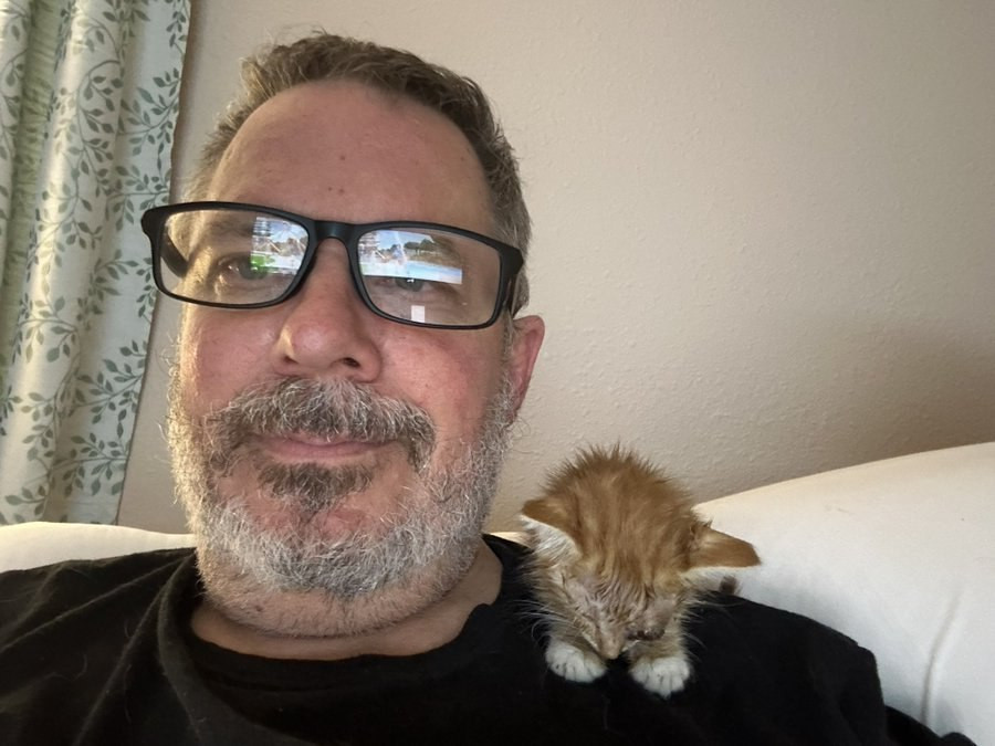 2 years ago, Mrs. Pun was walking our dog when this little kitten chased after them and followed them both home. It turns out that his mom and all the other kittens in the litter had died from an infection. He had one eye that had burst.   

We nursed "Boo Boo"  back to health