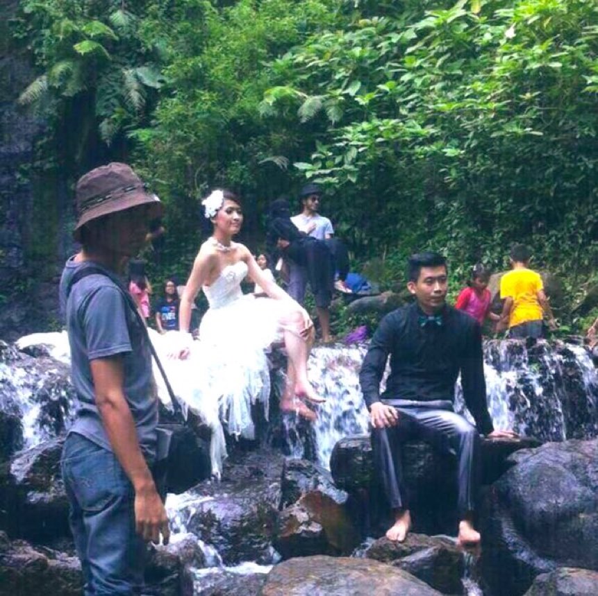 يووه يالفرق شفوا التخلف والتخضر