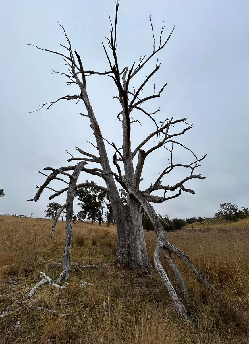 ਹੁਕਮੁ ਸਾਹਿਬ ਕਾ ਸੇਵਕ ਮਨਿ ਭਾਇਆ ॥
Hukam Saahib Kaa Saevak Man Bhaaeiaa ||
The Lord and Master's Command is pleasing to the mind of His servant.
Guru Arjan Dev