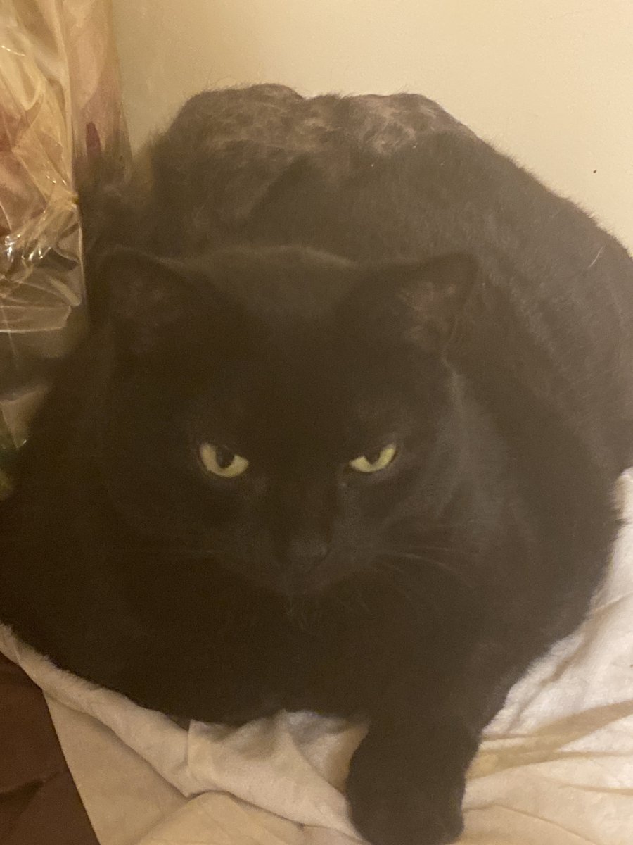 rodpherthinking's tweet image. car

@chromex20