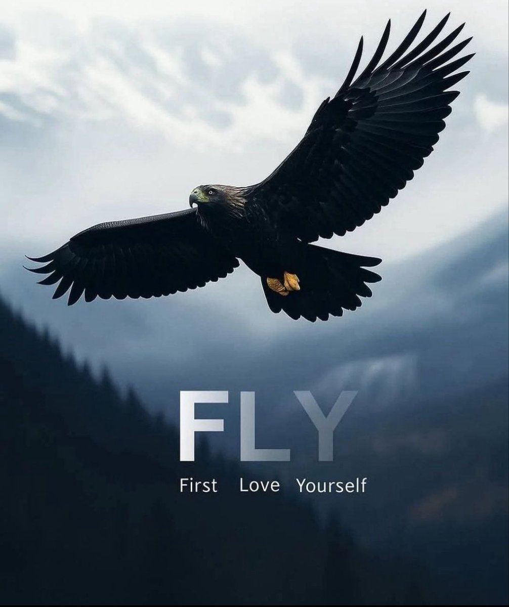 Good Morning☀️☀️