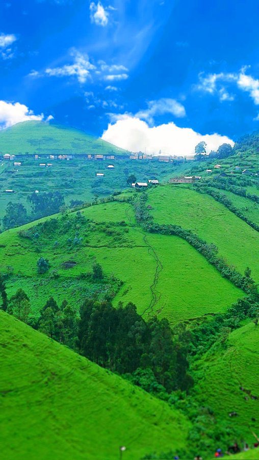 kivunewstoday's tweet photo. 🌄 Promoting the hidden beauty of Eastern Congo 🇨🇩
From the heart of #Masisi 🌿⛰️
Discover breathtaking landscapes, rich culture, and resilient people.
#MasisiTourism #DRCongo #ExploreCongo #VisitMasisi https://t.co/oWLjVx2vBN