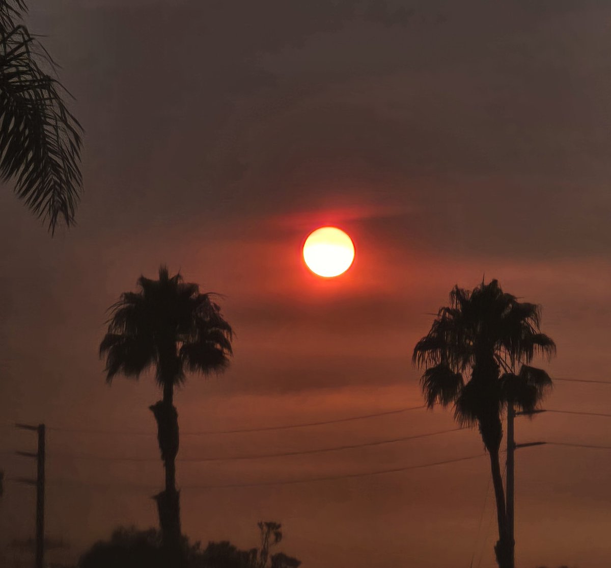 The sun looked amazing this evening