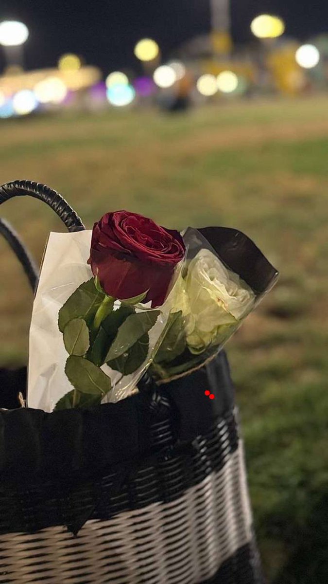 انت الوحيد اللي مرافق خيالي 
و انت الوحيد اللي له القلب طماع
و انت الوحيد اللي قدرت احتلالي
و ملكتني فالوقت مصيّف و مرباع
و انت السبب في ضيقتي و انعزالي
لا صرت في حبل المواصيل قطاع صباح الخير